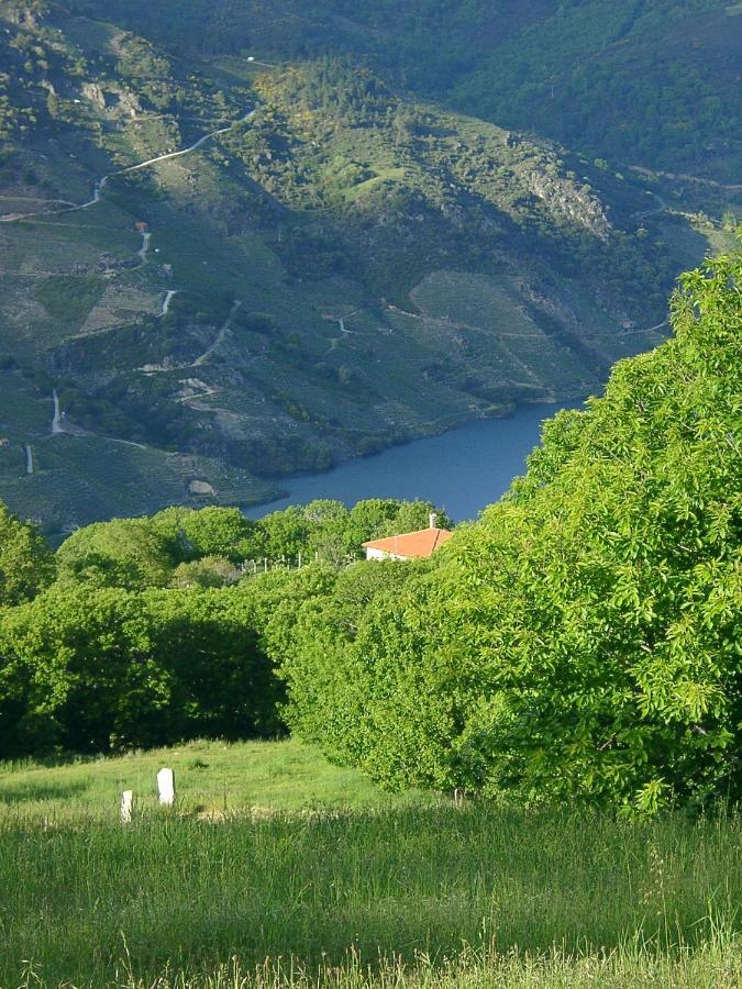 San Andres Ferienhaus Mit Gaestehaus Parada del Sil Dış mekan fotoğraf